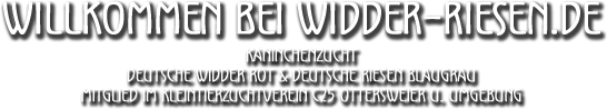 Willkommen auf widder-riesen.de - Kaninchenzucht